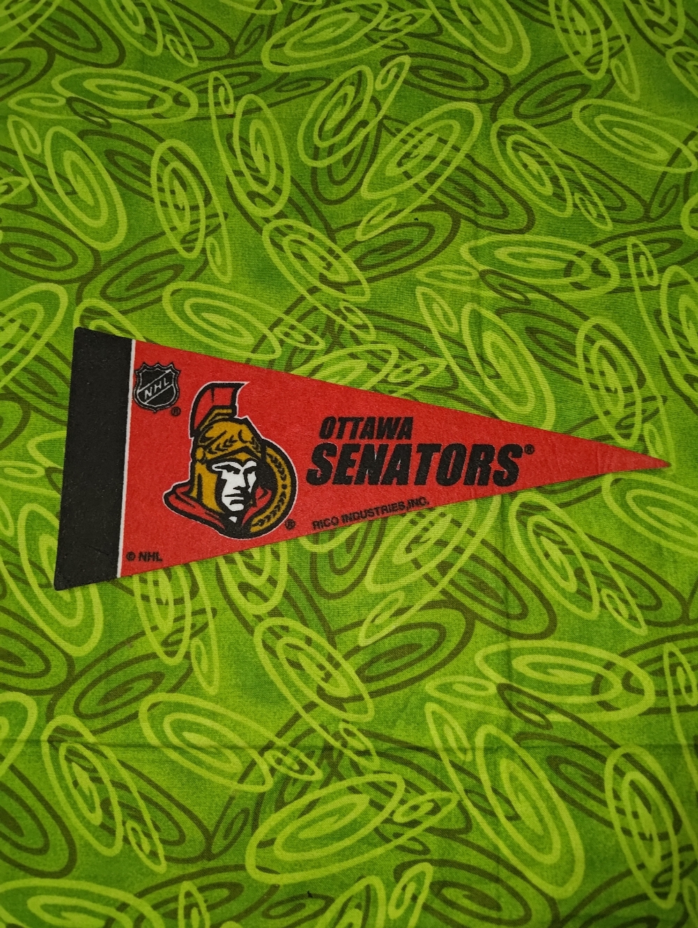 NHL Anaheim Ducks Mini Pennant 4”x9” Felt Flag